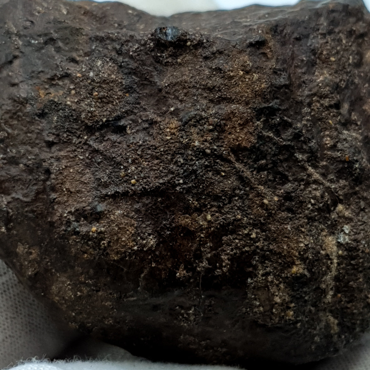 NWA*** (Unclassified) - Ordinary Chondrite - Complete Individual - 126g - Northwest Africa