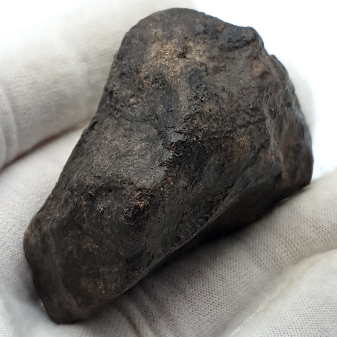 NWA*** (Non classé) - Chondrite ordinaire - Individu complet - 121,9g - Afrique du Nord-Ouest