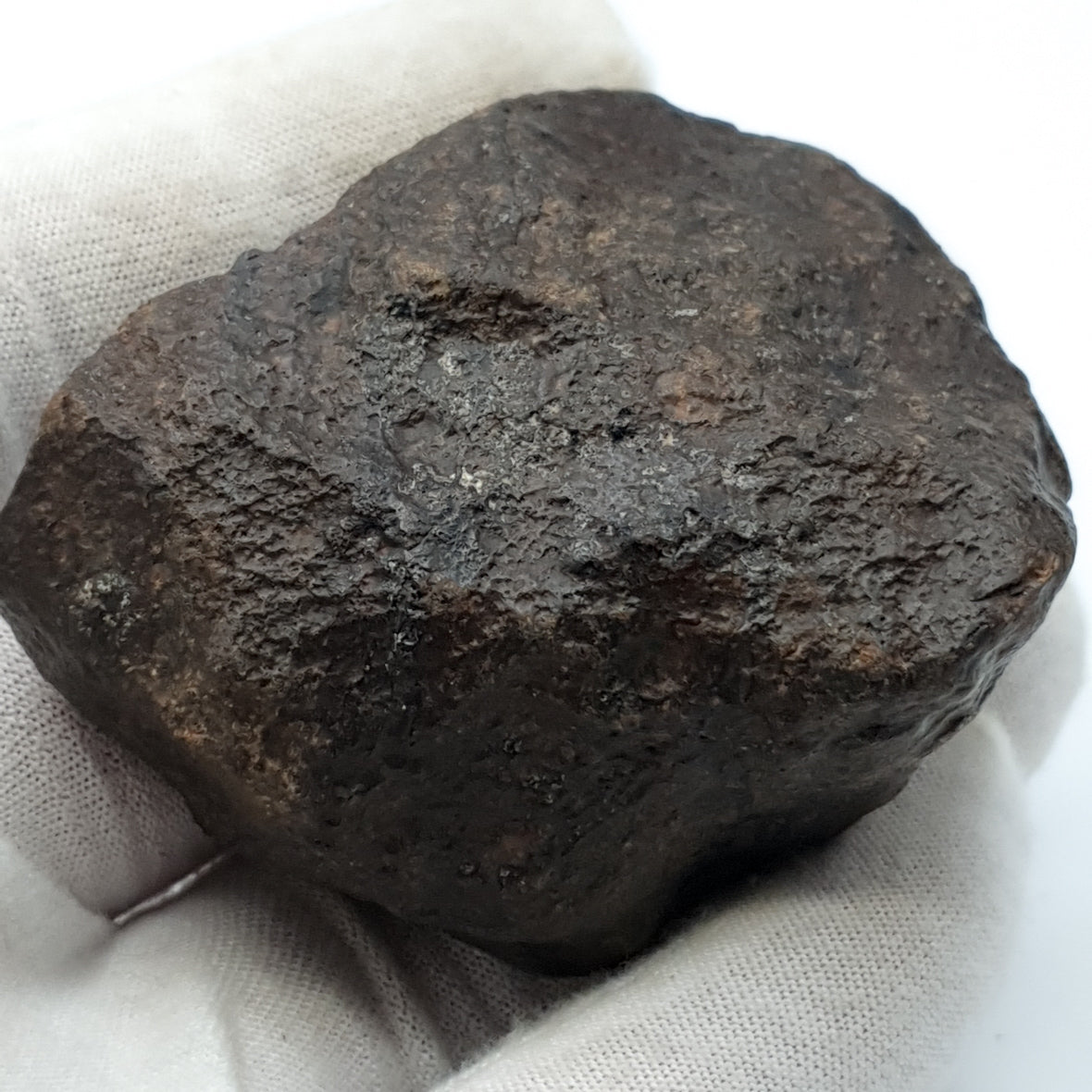 NWA*** (Non classé) - Chondrite ordinaire - Individu complet - 121,9g - Afrique du Nord-Ouest
