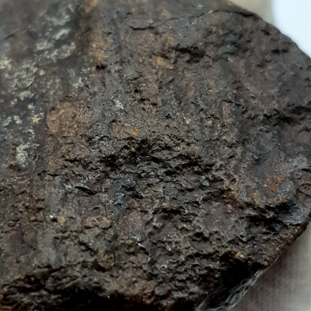 NWA*** (Non classé) - Chondrite ordinaire - Individu complet - 121,9g - Afrique du Nord-Ouest