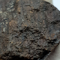 NWA*** (Non classé) - Chondrite ordinaire - Individu complet - 121,9g - Afrique du Nord-Ouest