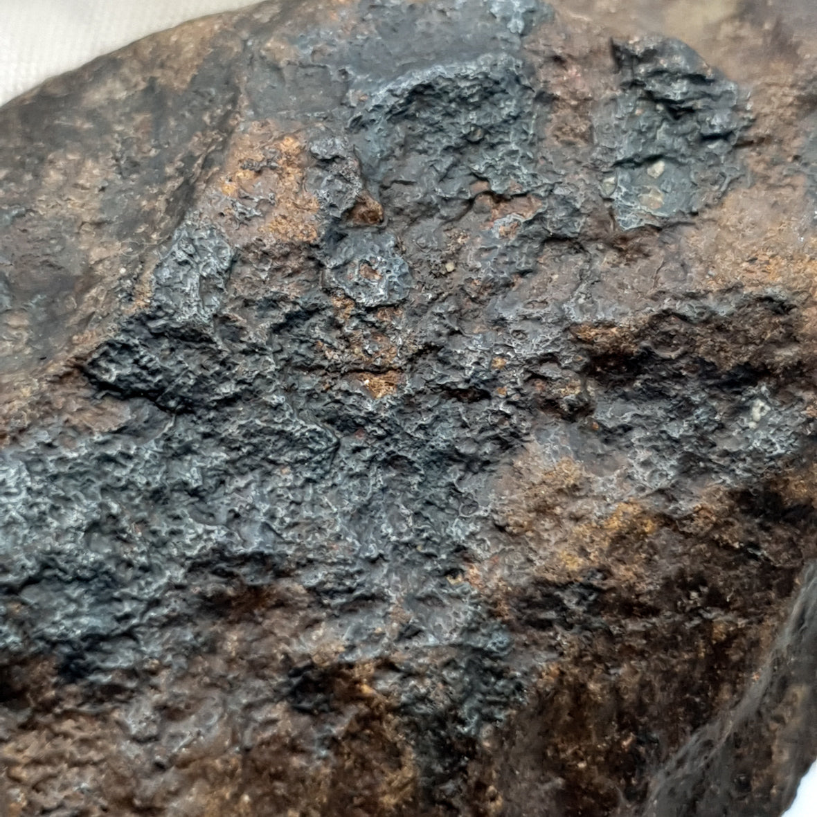 NWA*** (Non classé) - Chondrite ordinaire - Individu complet - 121,9g - Afrique du Nord-Ouest