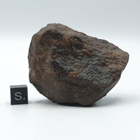 NWA*** (Non classé) - Chondrite ordinaire - Individu complet - 121,9g - Afrique du Nord-Ouest