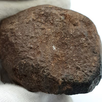 NWA*** (Sin clasificar) - Condrita ordinaria - Individuo completo - 178,5g - África del Noroeste