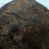 NWA*** (Sin clasificar) - Condrita ordinaria - Individuo completo - 178,5g - África del Noroeste