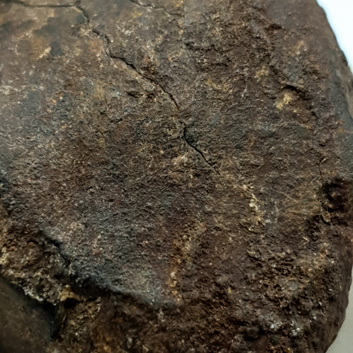 NWA*** (Sin clasificar) - Condrita ordinaria - Individuo completo - 178,5g - África del Noroeste