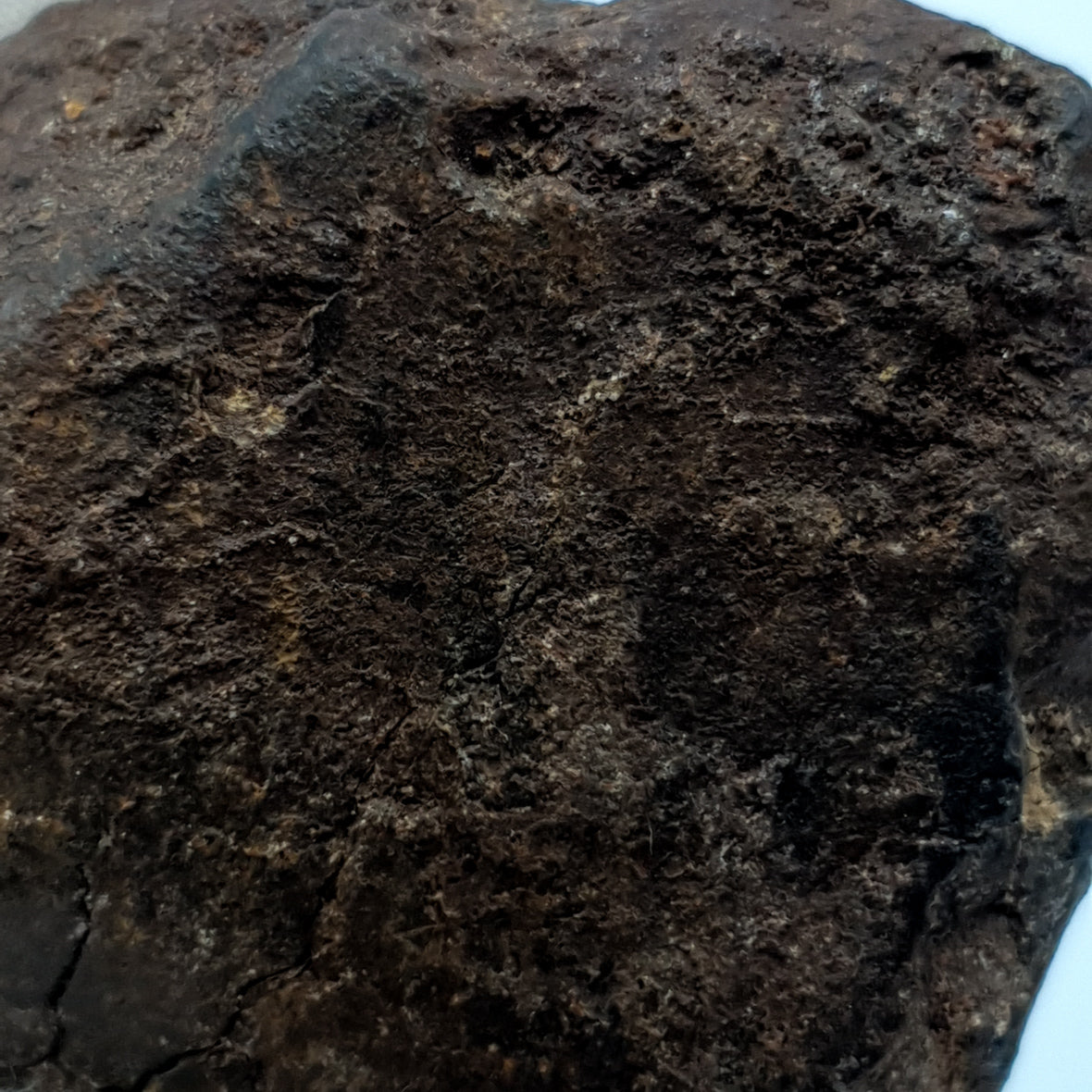 NWA*** (Sin clasificar) - Condrita ordinaria - Individuo completo - 178,5g - África del Noroeste
