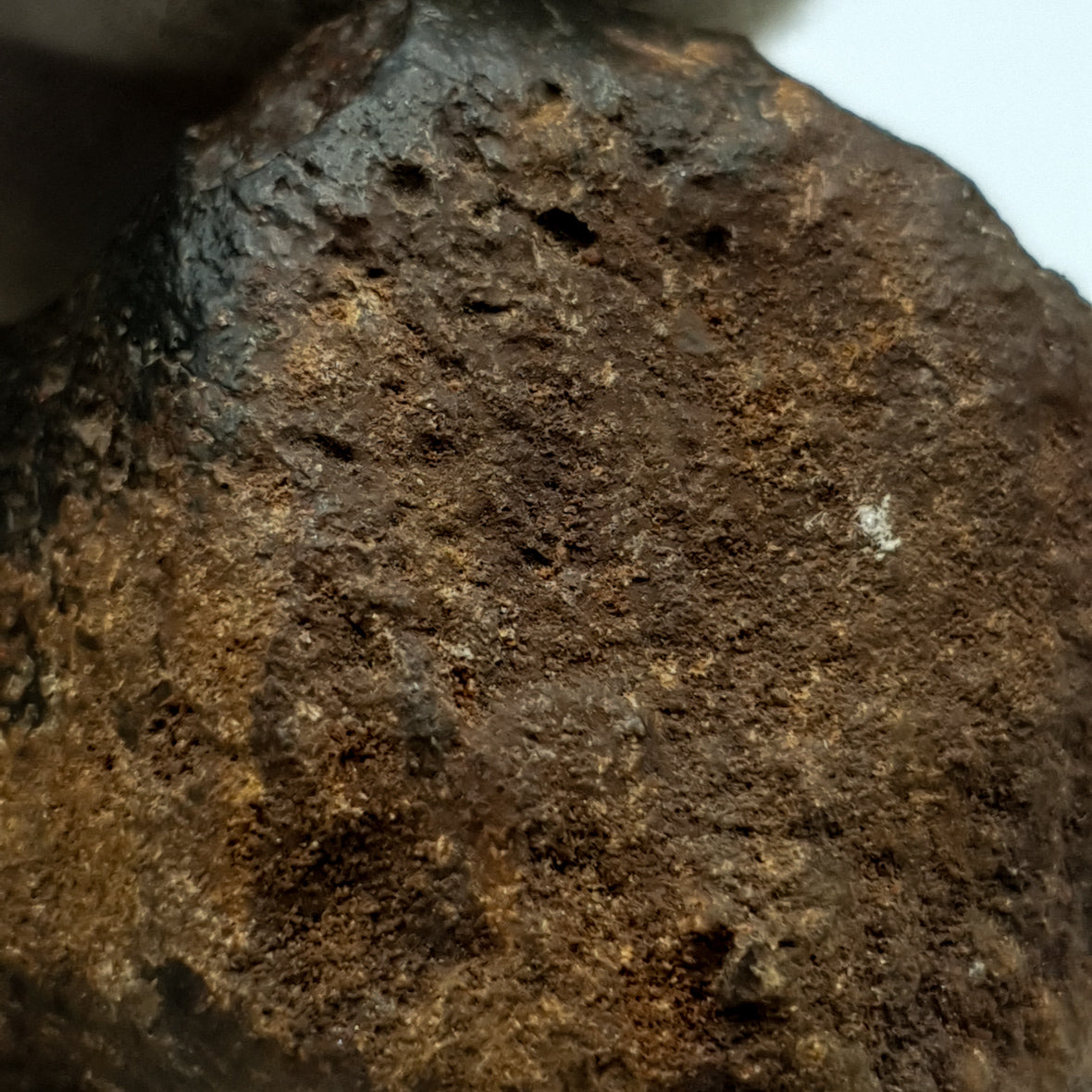 NWA*** (Sin clasificar) - Condrita ordinaria - Individuo completo - 178,5g - África del Noroeste