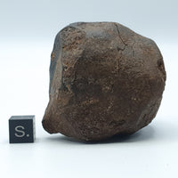 NWA*** (Sin clasificar) - Condrita ordinaria - Individuo completo - 178,5g - África del Noroeste