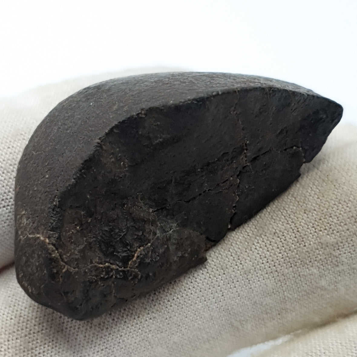 NWA*** (Non classé) - Chondrite ordinaire - Individu complet - 27,9g - Afrique du Nord-Ouest