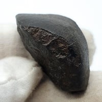 NWA*** (Non classé) - Chondrite ordinaire - Individu complet - 27,9g - Afrique du Nord-Ouest