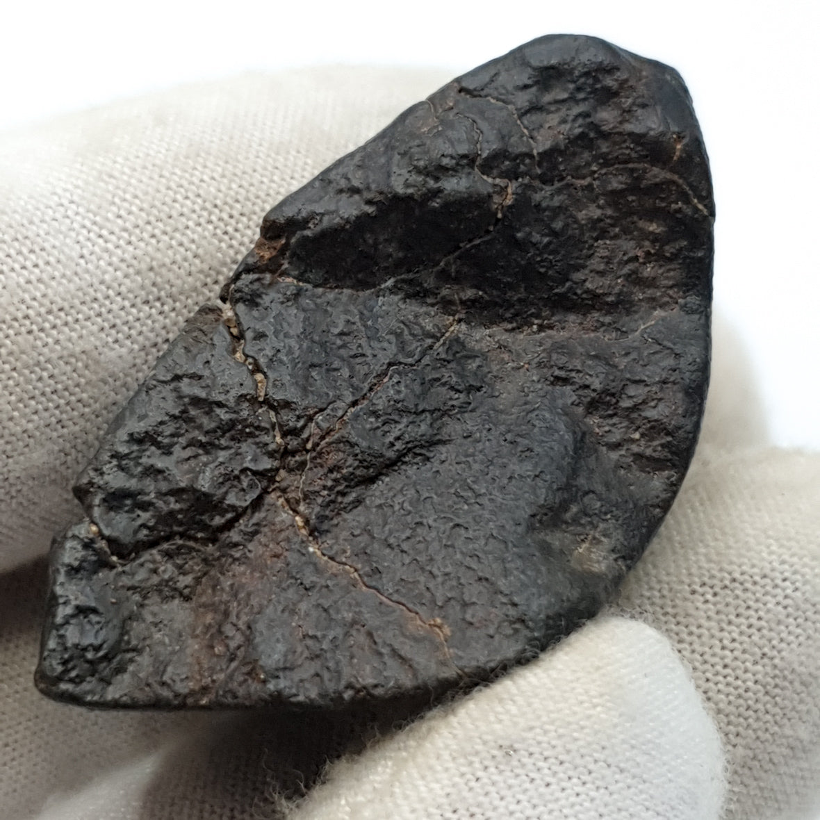 NWA*** (Non classé) - Chondrite ordinaire - Individu complet - 27,9g - Afrique du Nord-Ouest