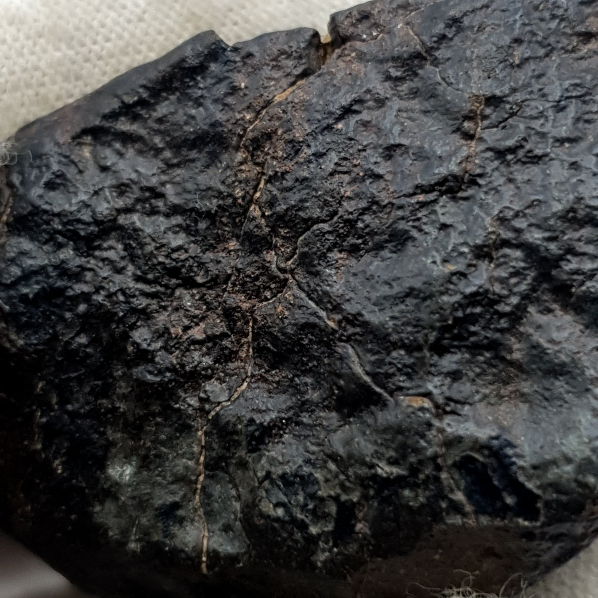 NWA*** (Non classé) - Chondrite ordinaire - Individu complet - 27,9g - Afrique du Nord-Ouest