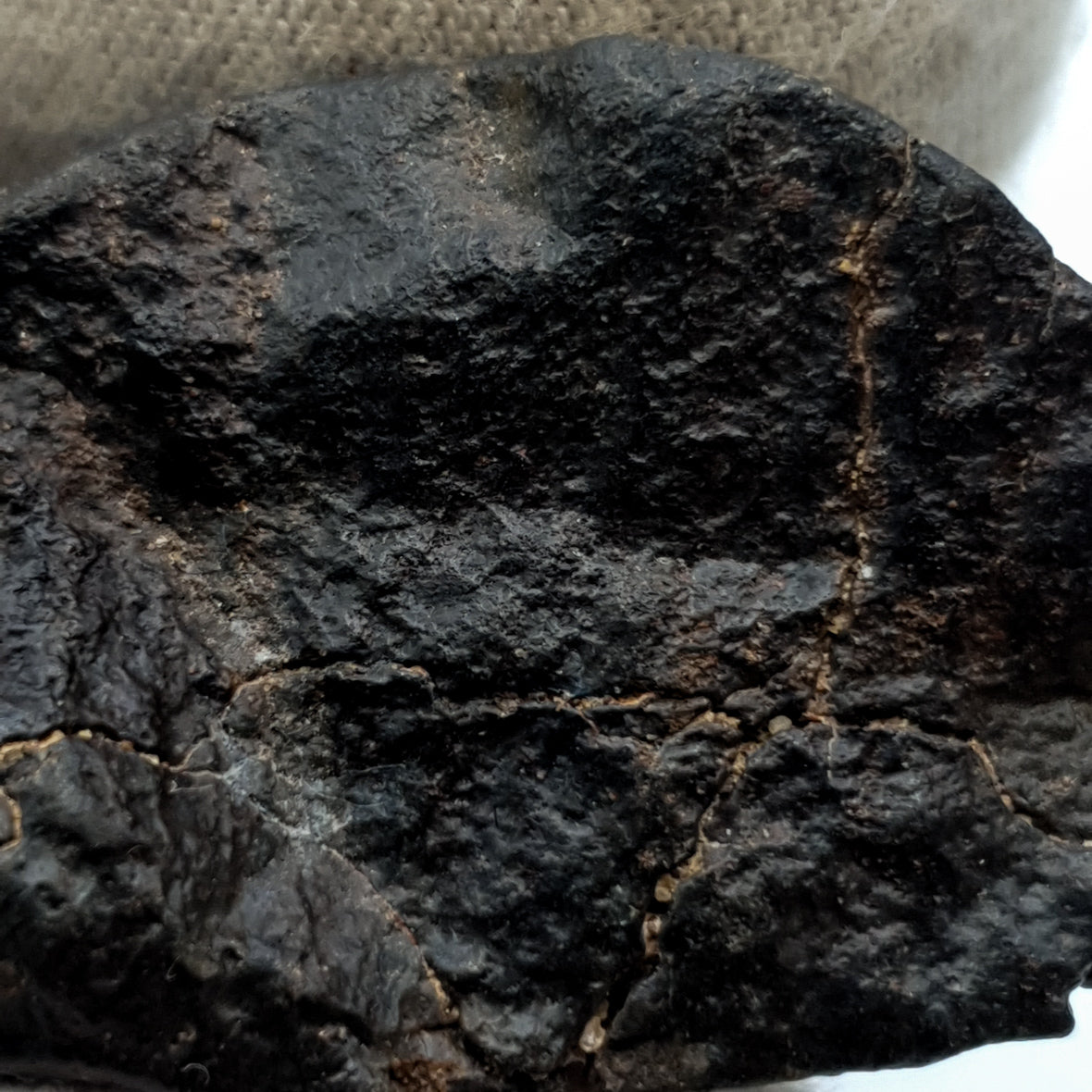 NWA*** (Non classé) - Chondrite ordinaire - Individu complet - 27,9g - Afrique du Nord-Ouest