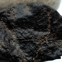 NWA*** (Non classé) - Chondrite ordinaire - Individu complet - 27,9g - Afrique du Nord-Ouest
