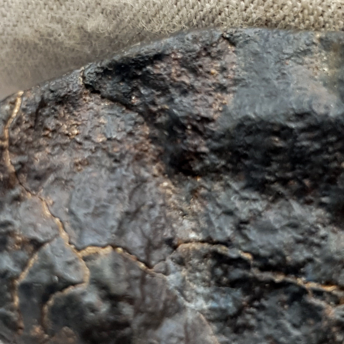 NWA*** (Non classé) - Chondrite ordinaire - Individu complet - 27,9g - Afrique du Nord-Ouest