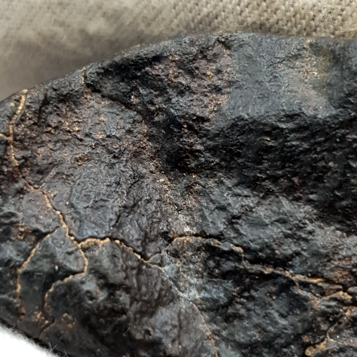 NWA*** (Non classé) - Chondrite ordinaire - Individu complet - 27,9g - Afrique du Nord-Ouest