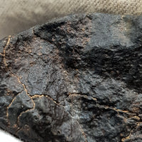 NWA*** (Non classé) - Chondrite ordinaire - Individu complet - 27,9g - Afrique du Nord-Ouest