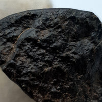 NWA*** (Non classé) - Chondrite ordinaire - Individu complet - 27,9g - Afrique du Nord-Ouest