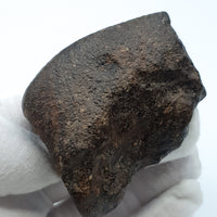 Chondrite - Unclassified NWA - 313.2g - Northwest Africa