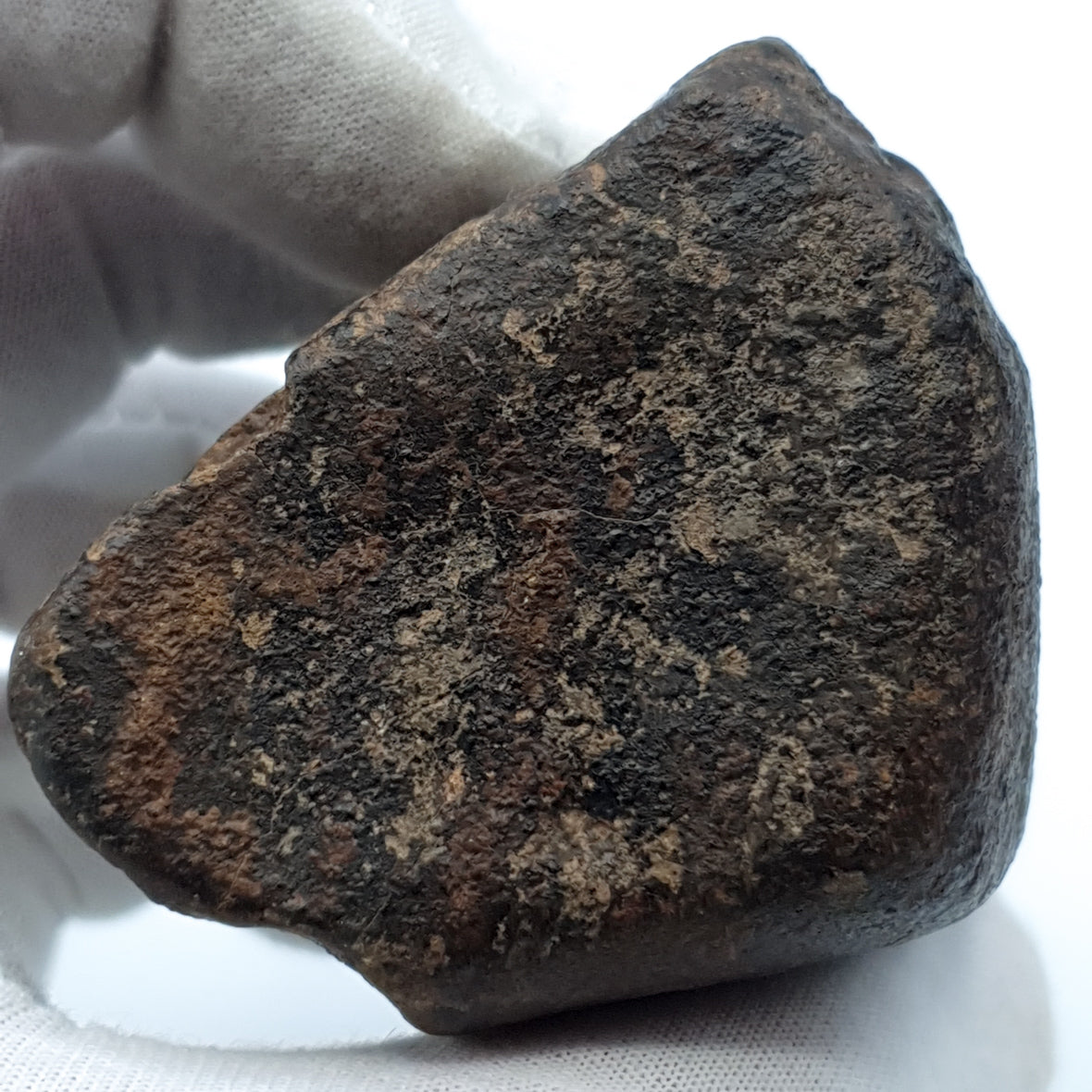 Chondrite - Unclassified NWA - 313.2g - Northwest Africa