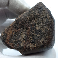 Chondrite - Unclassified NWA - 313.2g - Northwest Africa
