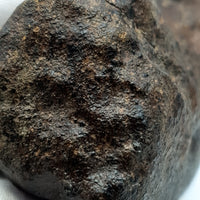 Chondrite - Unclassified NWA - 313.2g - Northwest Africa