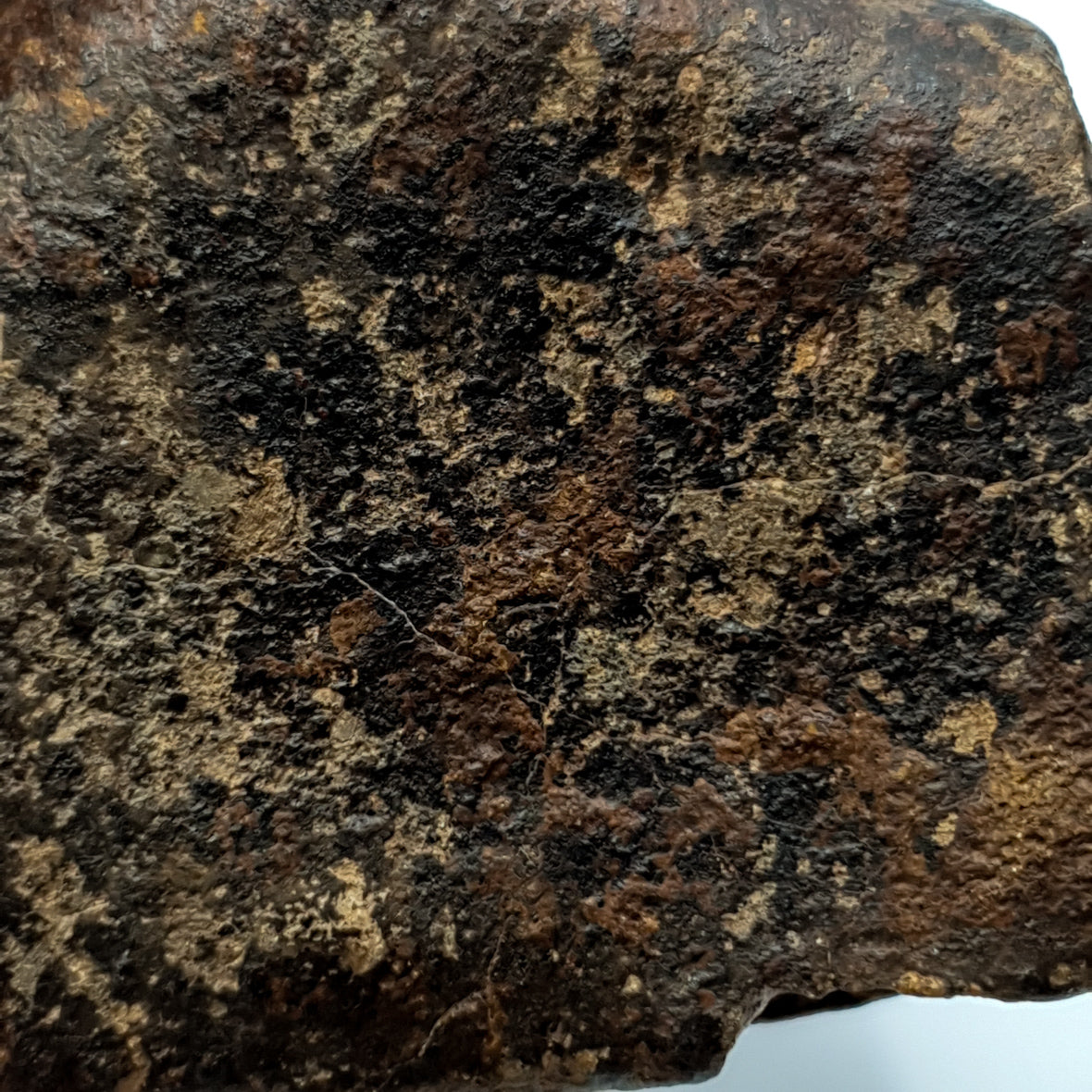 Chondrite - Unclassified NWA - 313.2g - Northwest Africa
