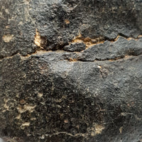 NWA*** (Sin clasificar) - Condrita ordinaria - Individuo completo - 228,4g - África del Noroeste