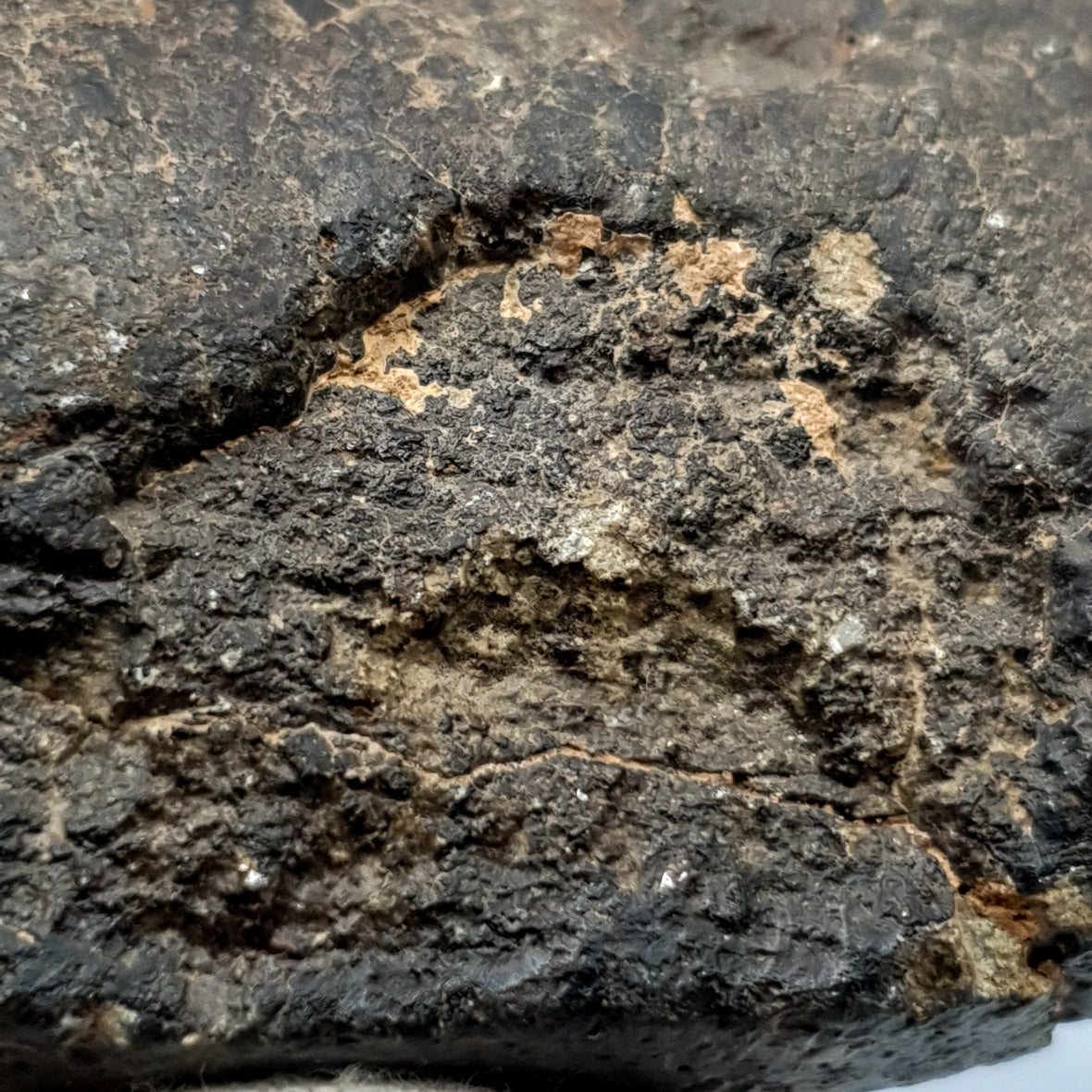 NWA*** (Sin clasificar) - Condrita ordinaria - Individuo completo - 228,4g - África del Noroeste