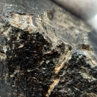 NWA*** (Sin clasificar) - Condrita ordinaria - Individuo completo - 228,4g - África del Noroeste