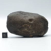 NWA*** (Sin clasificar) - Condrita ordinaria - Individuo completo - 228,4g - África del Noroeste