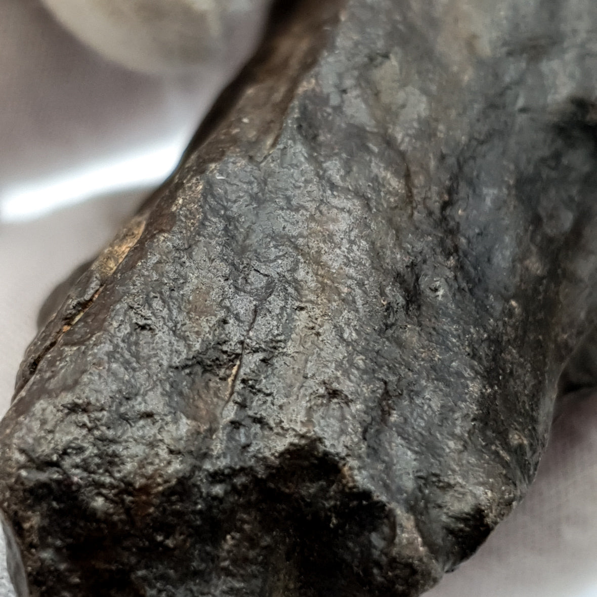 NWA*** (Sin clasificar) - Condrita Ordinaria - Ejemplar Completo - 90.6g - África del Noroeste