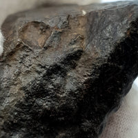 NWA*** (Sin clasificar) - Condrita Ordinaria - Ejemplar Completo - 90.6g - África del Noroeste