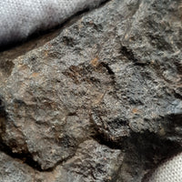 NWA*** (Sin clasificar) - Condrita Ordinaria - Ejemplar Completo - 90.6g - África del Noroeste