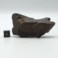 NWA*** (Sin clasificar) - Condrita Ordinaria - Ejemplar Completo - 90.6g - África del Noroeste