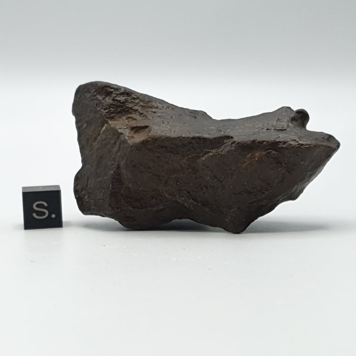 NWA*** (Sin clasificar) - Condrita Ordinaria - Ejemplar Completo - 90.6g - África del Noroeste