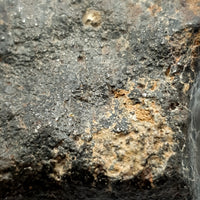 NWA*** (Unclassified) - Ordinary Chondrite - Complete Individual - 180.8g - Northwest Africa