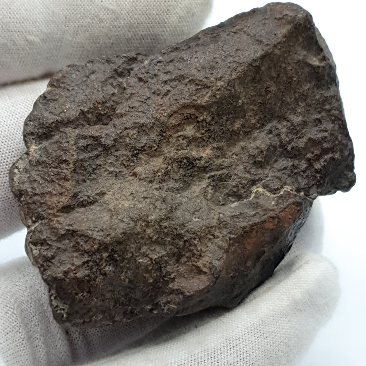 NWA*** (Unclassified) - Ordinary Chondrite - Complete Individual - 86.7g - Northwest Africa