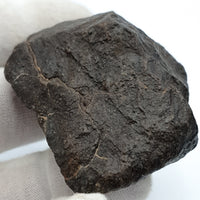 NWA*** (Unclassified) - Ordinary Chondrite - Complete Individual - 86.7g - Northwest Africa