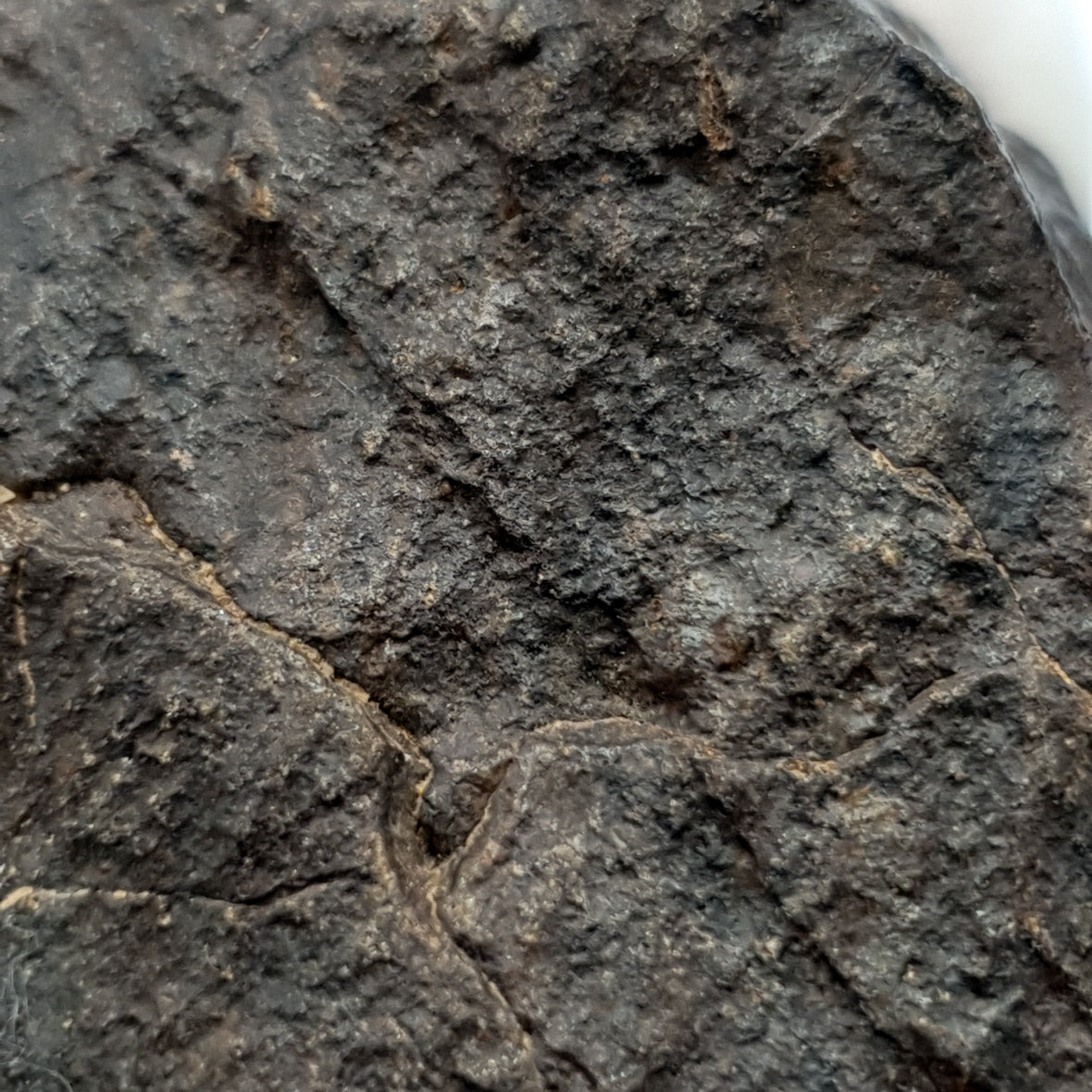 NWA*** (Unclassified) - Ordinary Chondrite - Complete Individual - 86.7g - Northwest Africa
