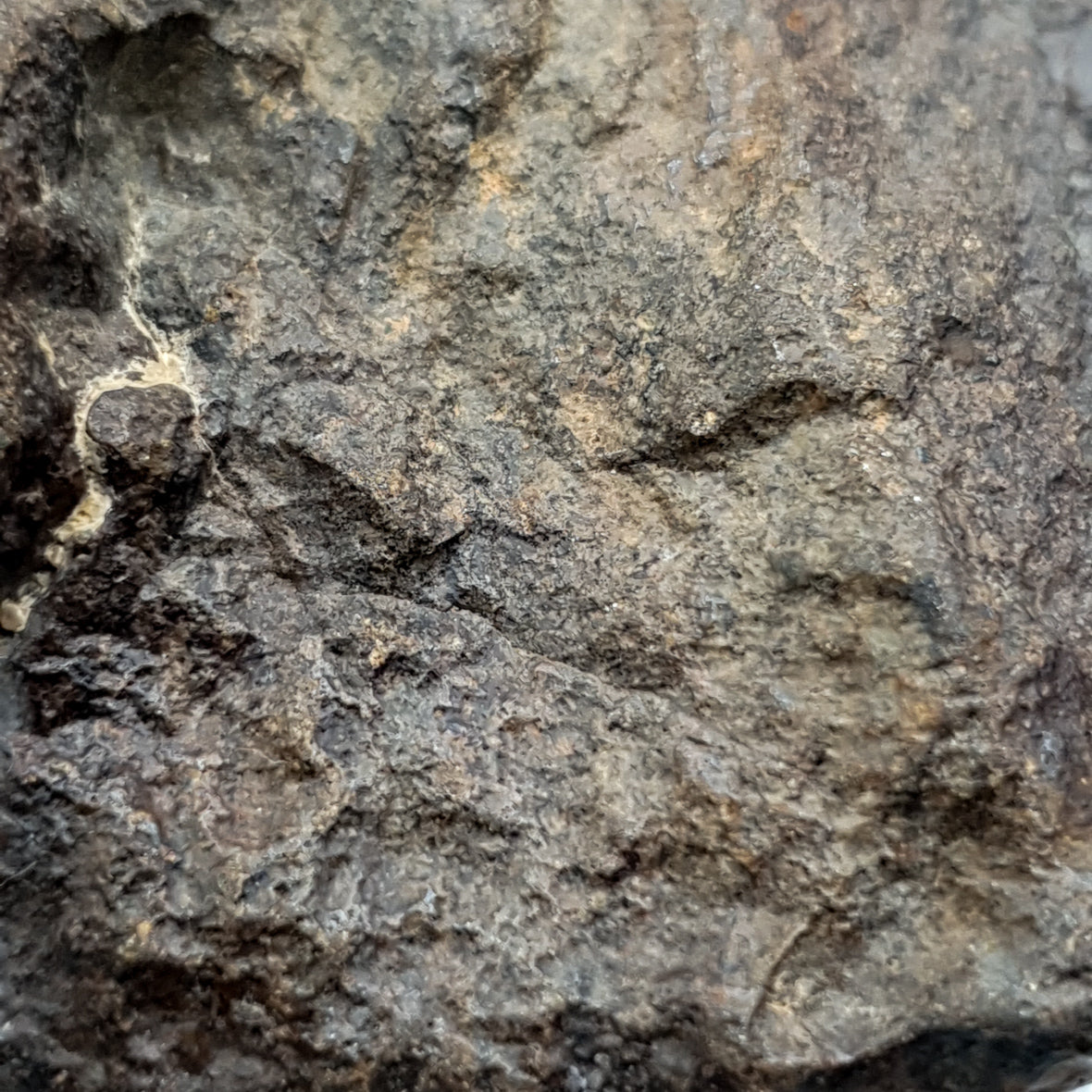 NWA*** (Unclassified) - Ordinary Chondrite - Complete Individual - 86.7g - Northwest Africa