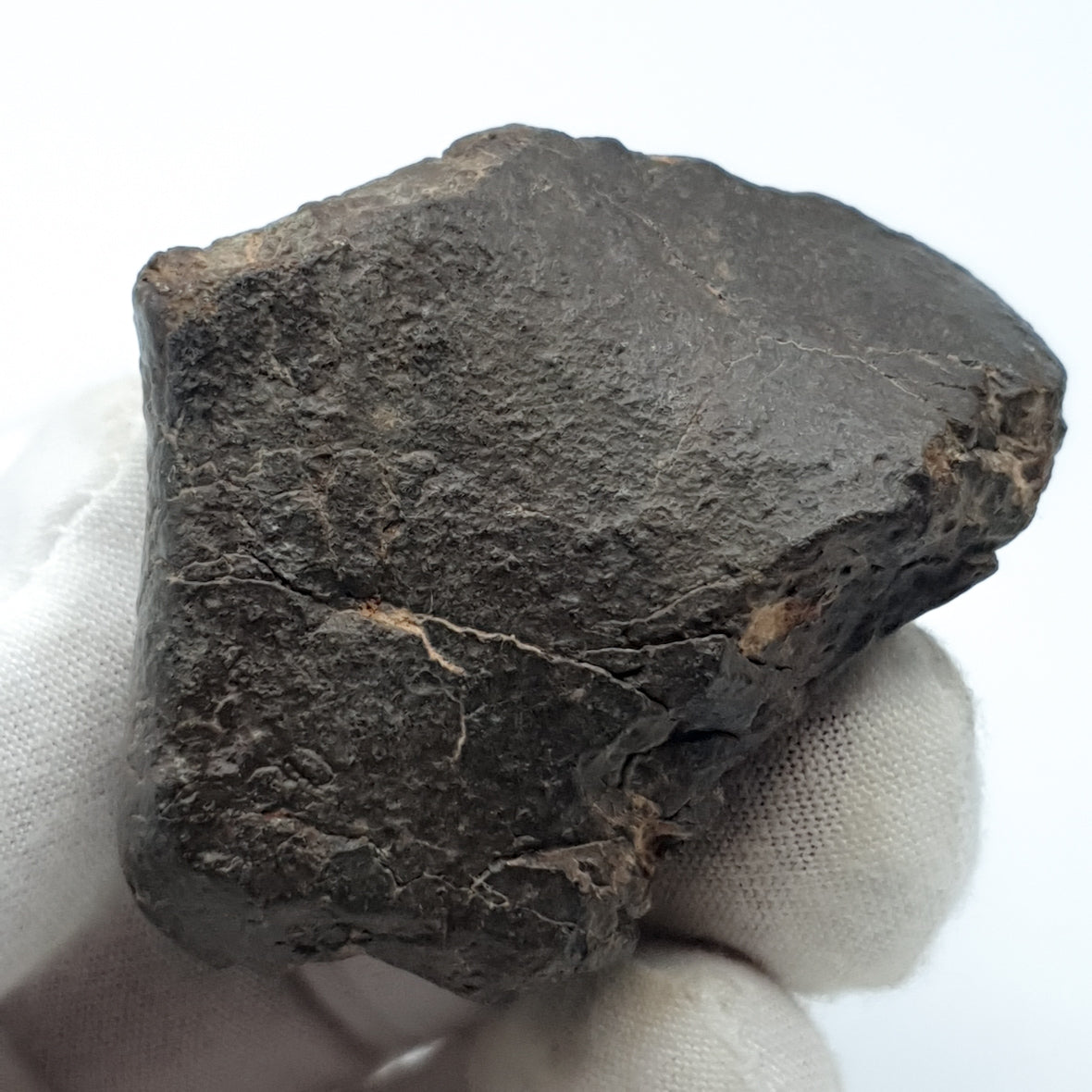 NWA*** (Sin clasificar) - Condrita Ordinaria - Ejemplar Completo - 115.5g - África del Noroeste