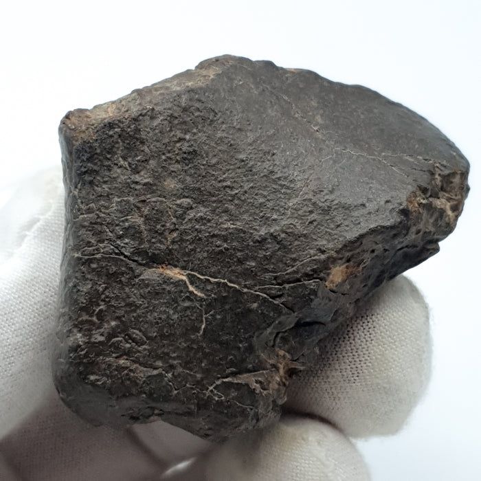 NWA*** (Sin clasificar) - Condrita Ordinaria - Ejemplar Completo - 115.5g - África del Noroeste