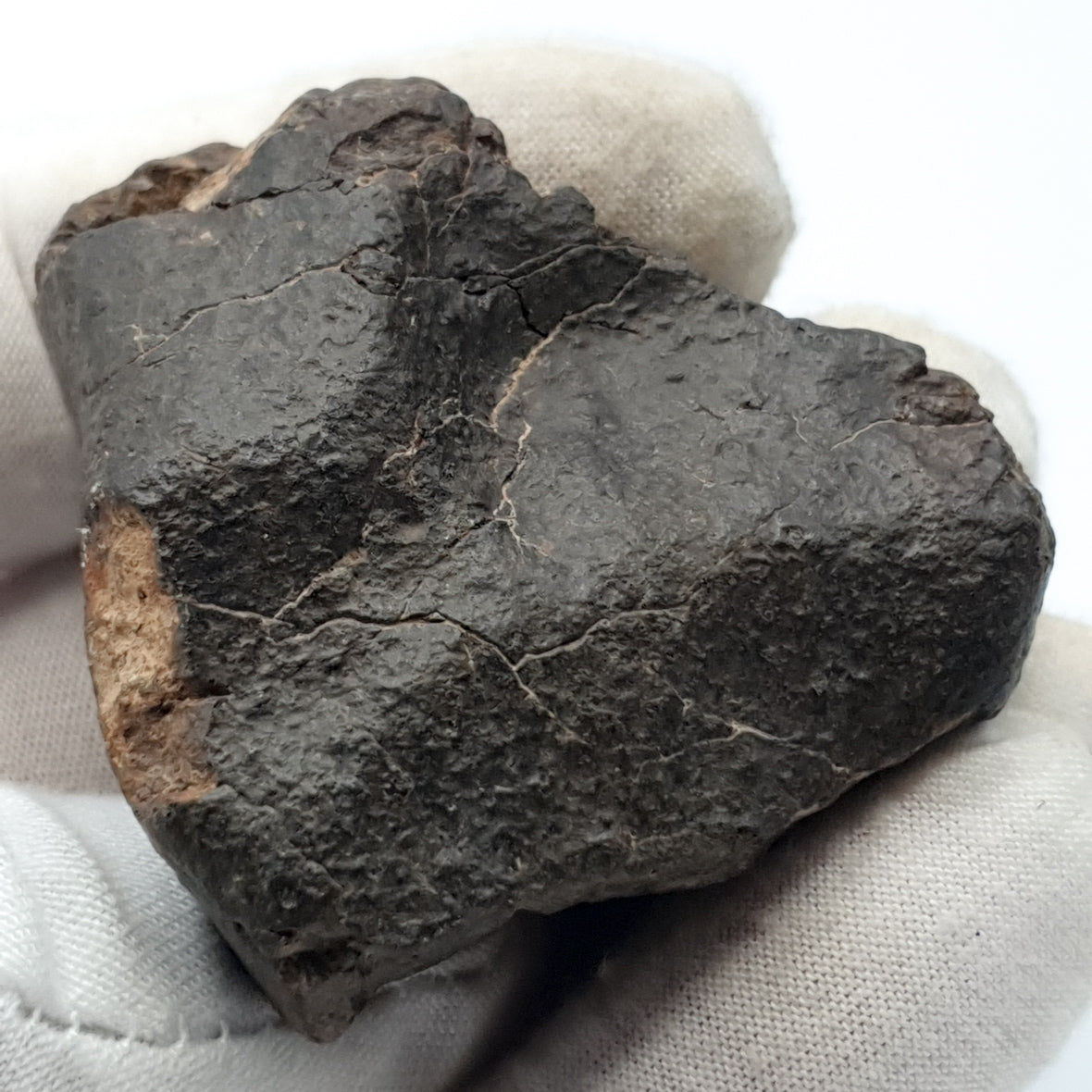 NWA*** (Sin clasificar) - Condrita Ordinaria - Ejemplar Completo - 115.5g - África del Noroeste