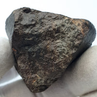 NWA*** (Sin clasificar) - Condrita Ordinaria - Ejemplar Completo - 115.5g - África del Noroeste
