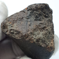 NWA*** (Sin clasificar) - Condrita Ordinaria - Ejemplar Completo - 115.5g - África del Noroeste