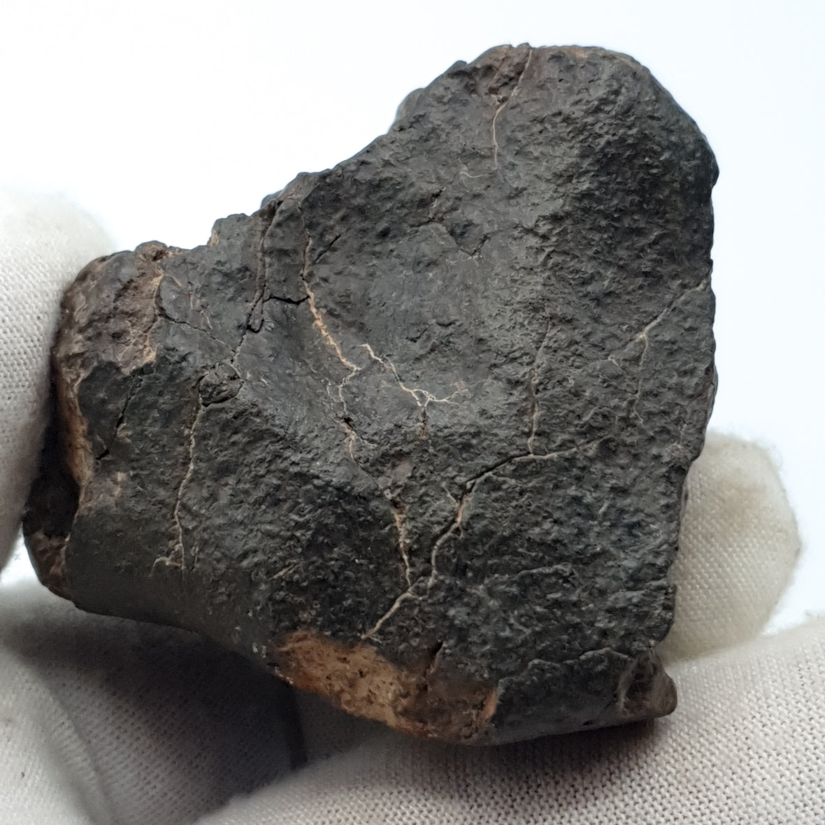 NWA*** (Sin clasificar) - Condrita Ordinaria - Ejemplar Completo - 115.5g - África del Noroeste