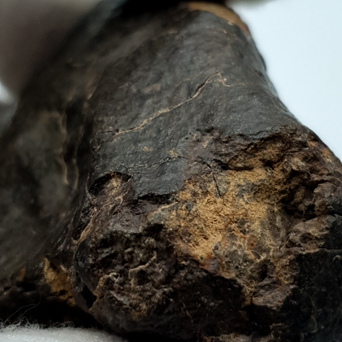 NWA*** (Sin clasificar) - Condrita Ordinaria - Ejemplar Completo - 115.5g - África del Noroeste