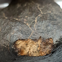 NWA*** (Sin clasificar) - Condrita Ordinaria - Ejemplar Completo - 115.5g - África del Noroeste